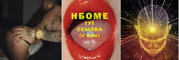 прущие грибы Корсаков