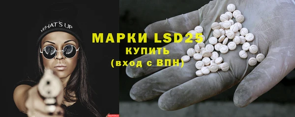 прущие грибы Корсаков