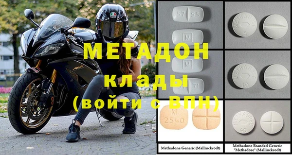 прущие грибы Корсаков