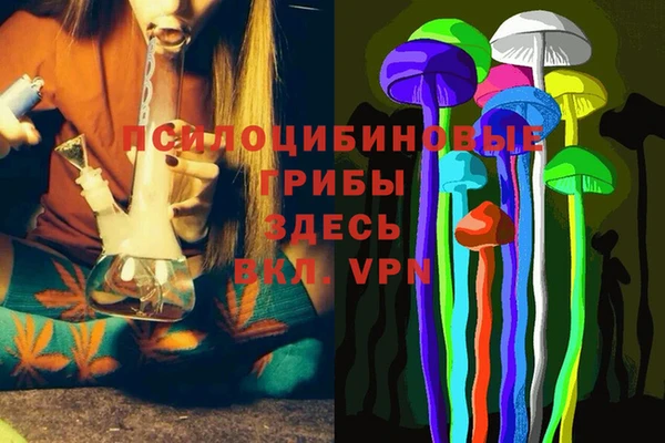 прущие грибы Корсаков