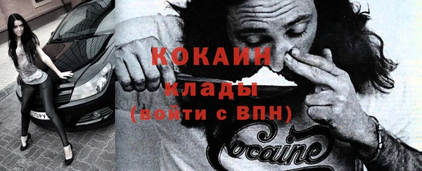 прущие грибы Корсаков