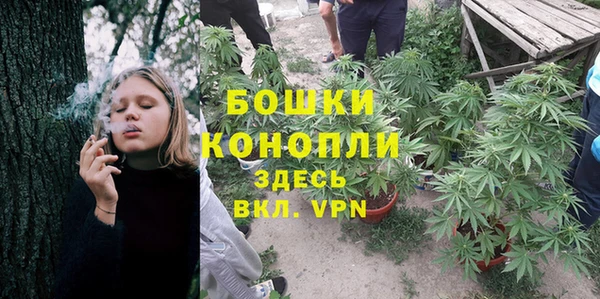 тгк Коряжма