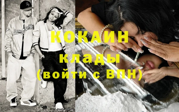 прущие грибы Корсаков