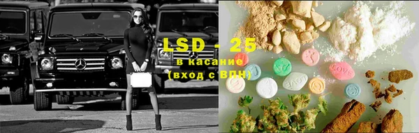 прущие грибы Корсаков