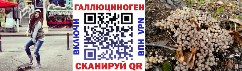 Купить закладки Сальск Галлюциногенные грибы мицелий