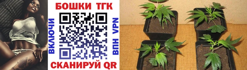 Конопля индика  Купить где  Сальск 